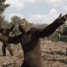 Background GIF